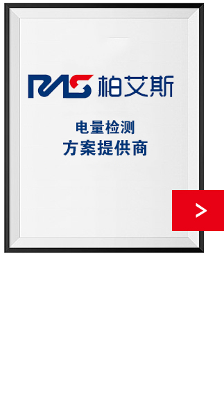 柏艾斯